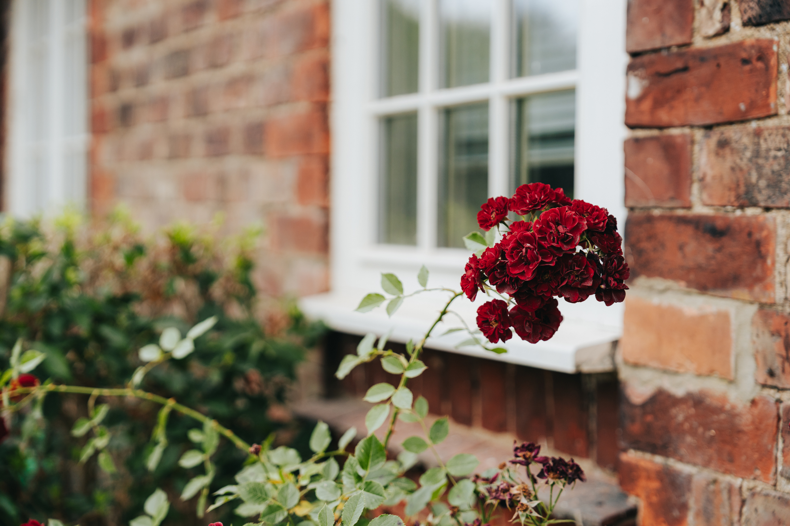 Gardeners Cottage accommodation for 4 guests with hot tub and sauna